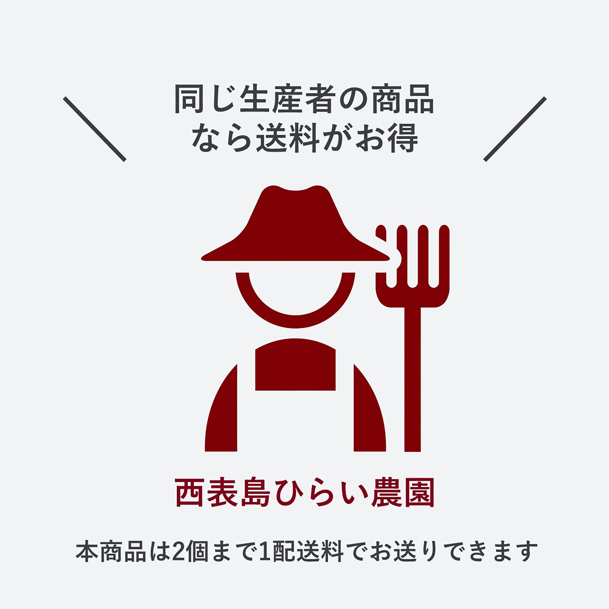 西表島産　西表島ひらい農園の「アップルマンゴー」約７００ｇ（２～３玉）