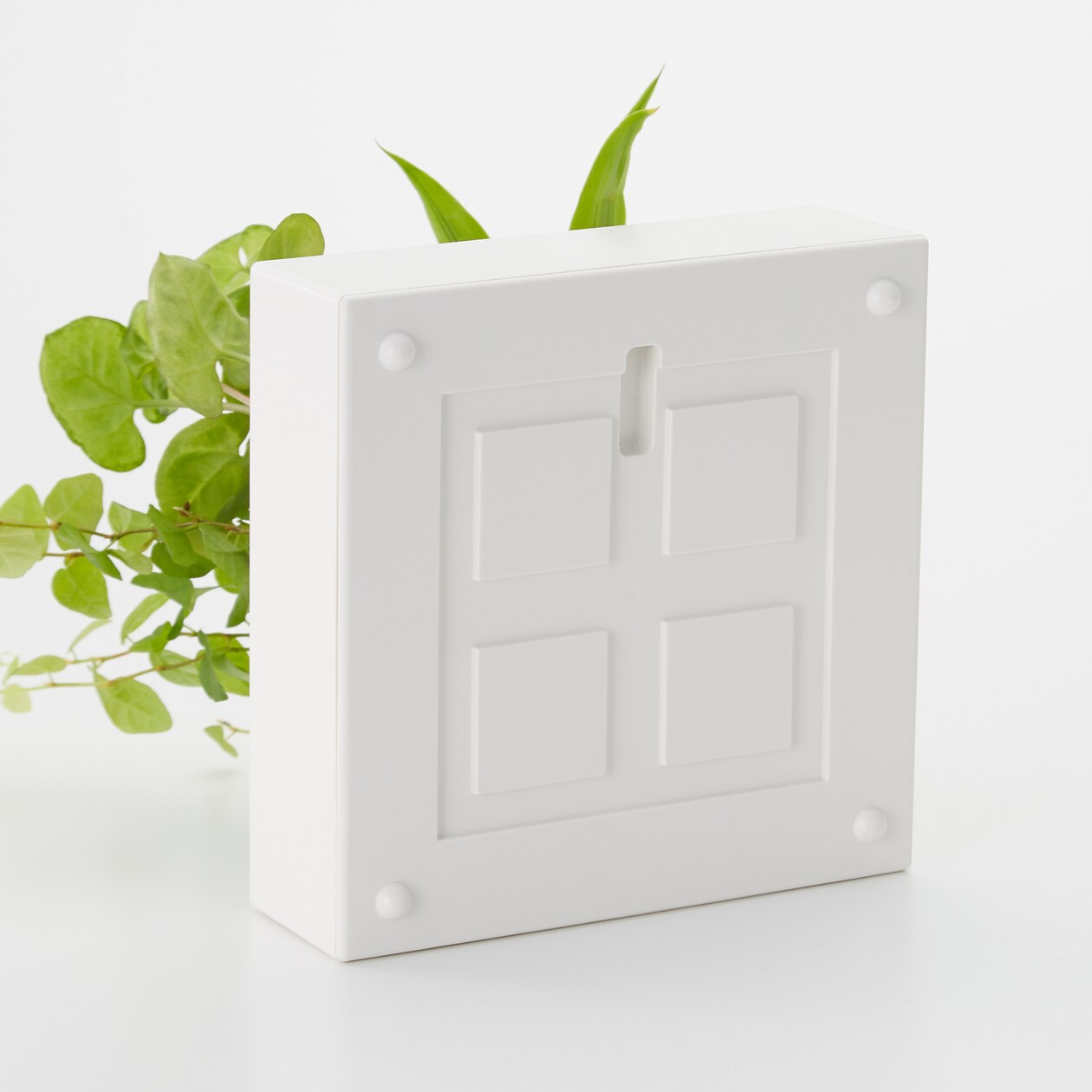 壁にかけられる観葉植物　Ｄ