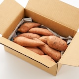 鳥取県産　浜根農園のさつまいも「にんじん芋」 約２ｋｇ