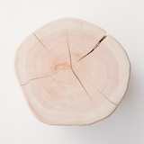 東京の木の「生道具（きどうぐ）　土台」