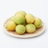 福岡県産　いわくま果樹園の「リスボンレモン」イエロー　約１ｋｇ