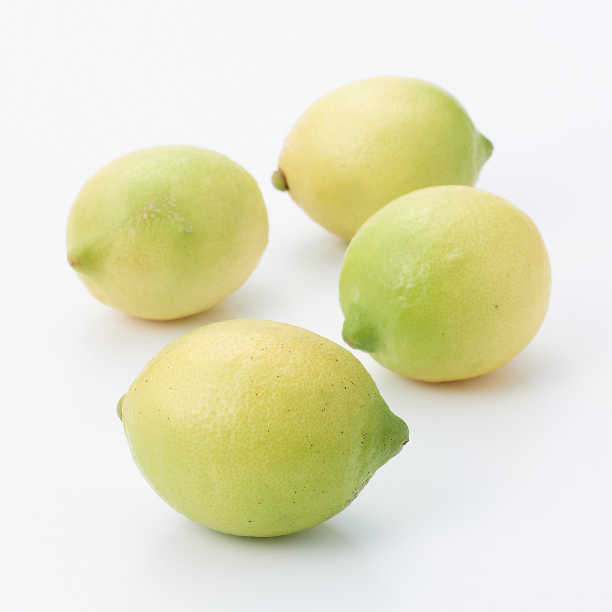 福岡県産　いわくま果樹園の「リスボンレモン」イエロー　約１ｋｇ