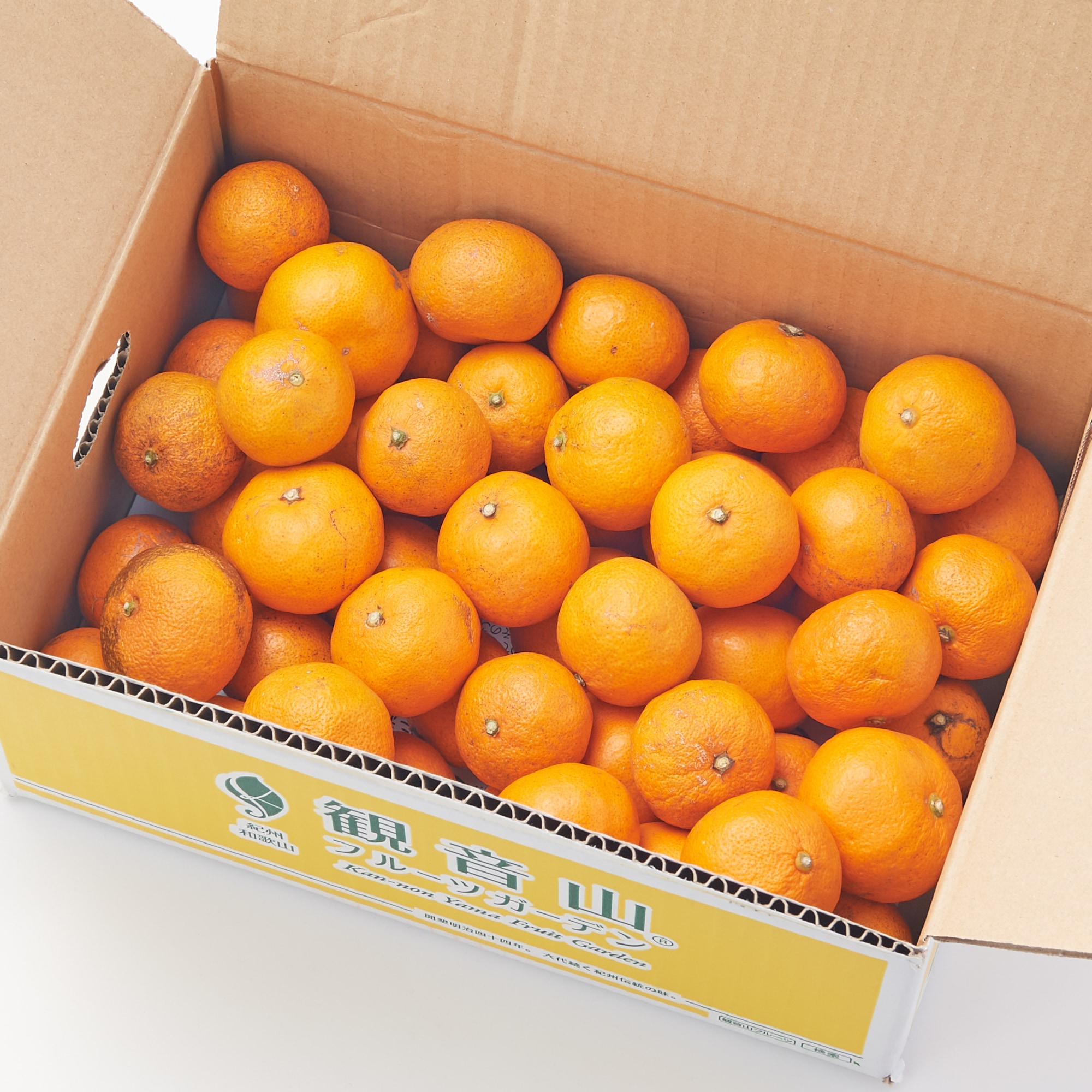 和歌山県産　観音山フルーツガーデンの「温州みかん」（農薬：栽培期間中不使用）約３ｋｇ