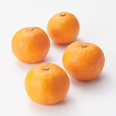 和歌山県産　観音山フルーツガーデンの「温州みかん」（農薬：栽培期間中不使用）約３ｋｇ