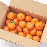 熊本河内産　うきこ農園の「大紅みかん」　約２ｋｇ