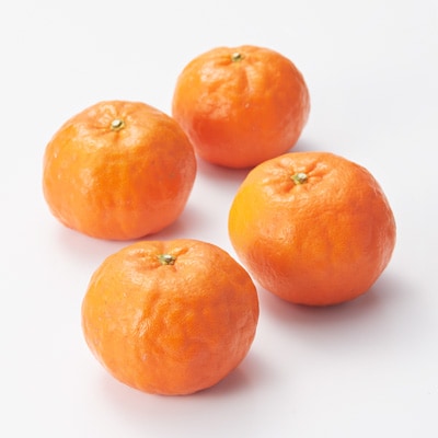 熊本河内産　うきこ農園の「大紅みかん」　約２ｋｇ