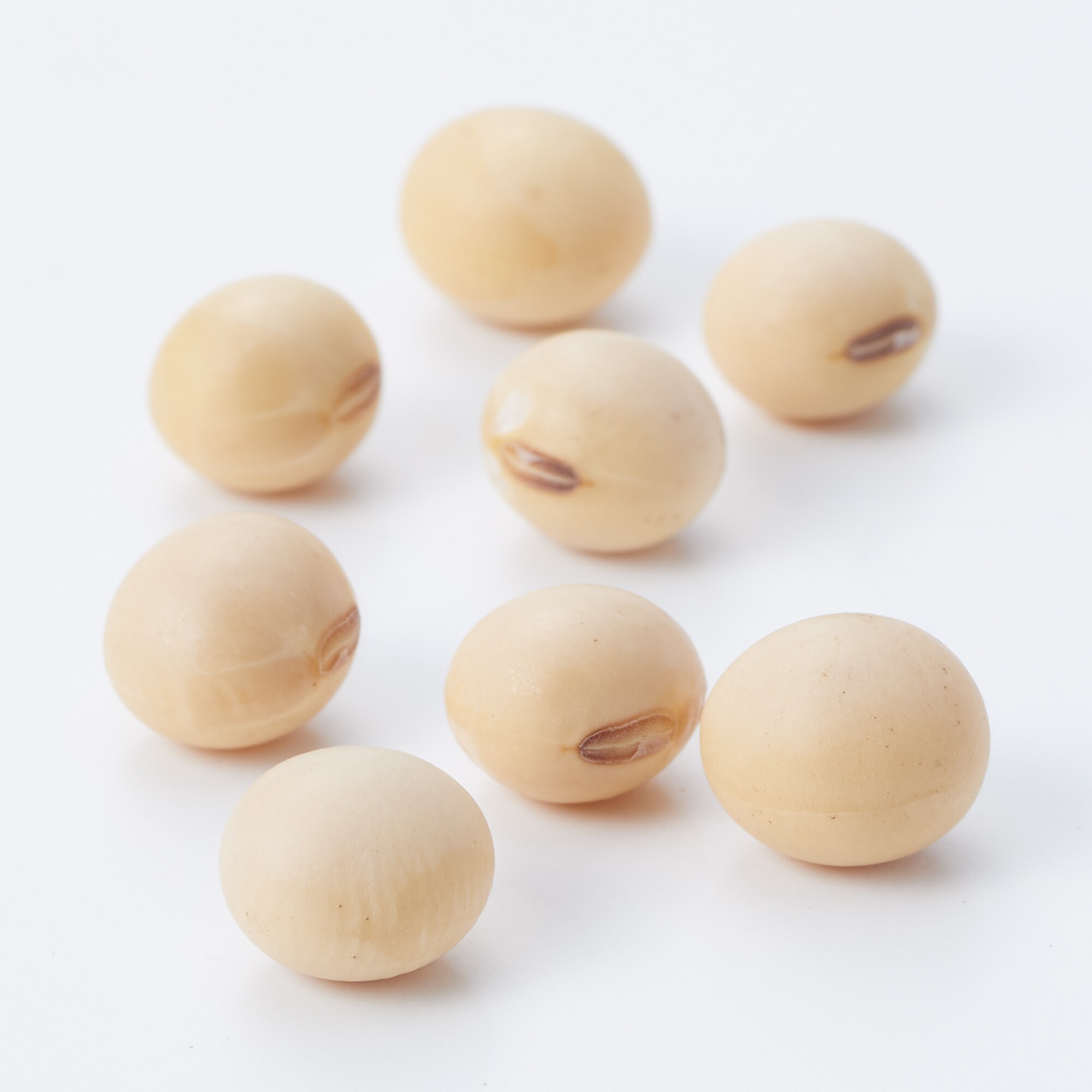 鹿児島県産　黄大豆