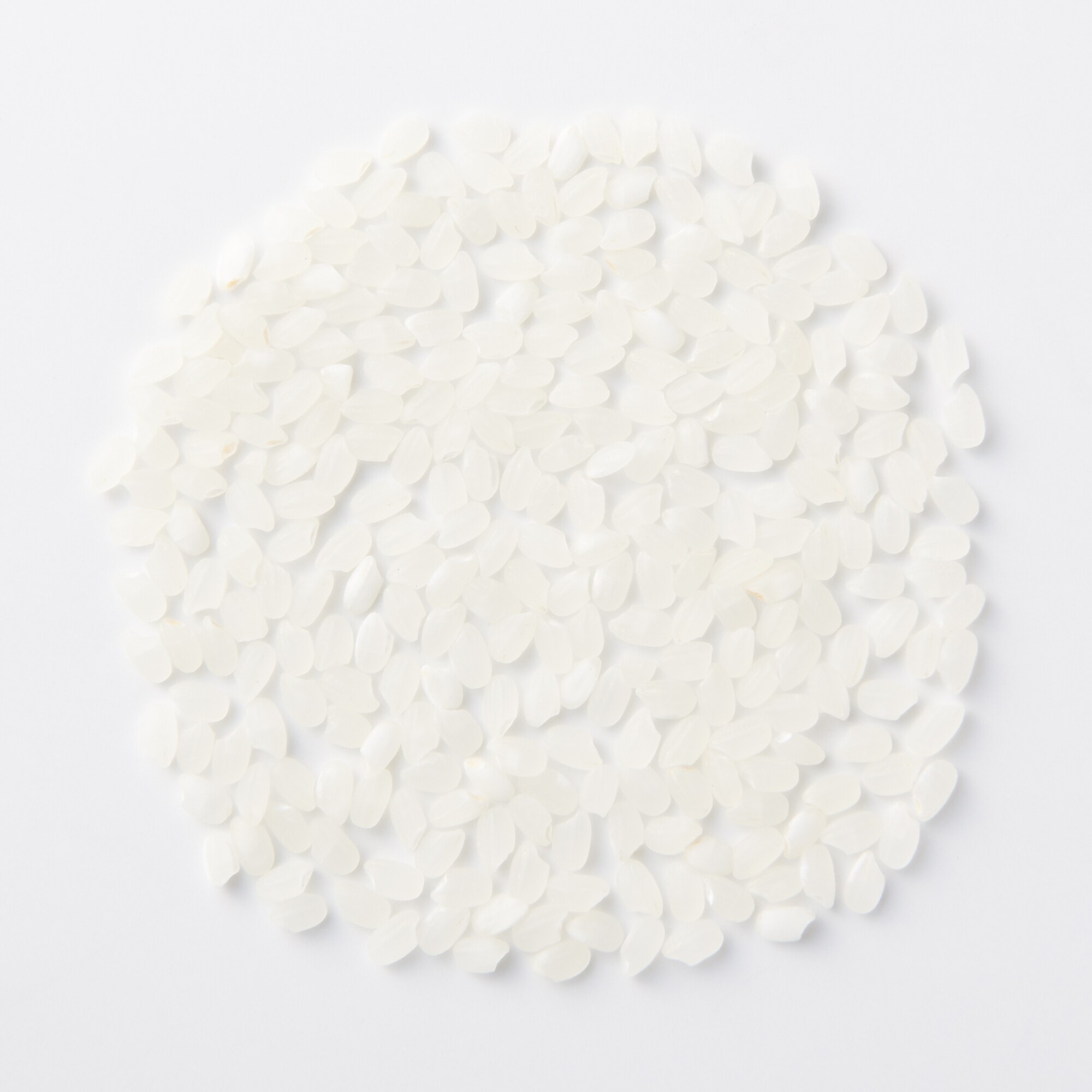 新潟県上越市産　やすづか雪むろ棚田米コシヒカリ 美野里姫 5kg(精米）