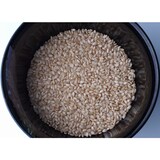 新潟県上越市産　やすづか雪むろ棚田米コシヒカリ　美野里姫　５ｋｇ（玄米）