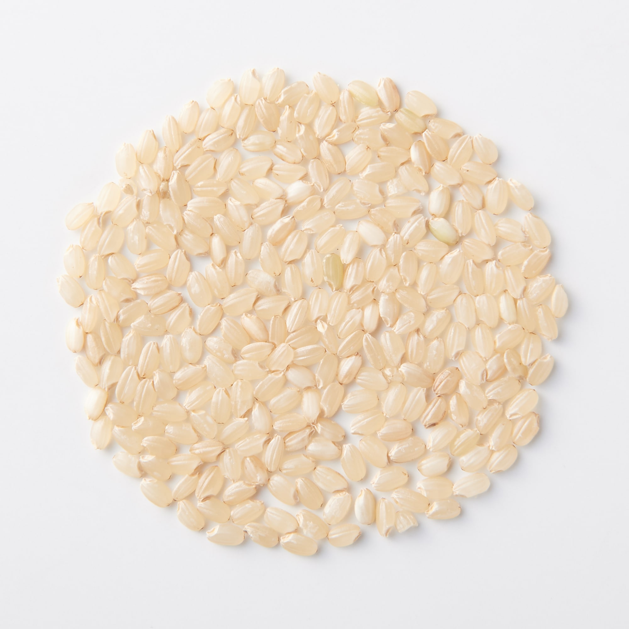 新潟県上越市産　やすづか雪むろ棚田米コシヒカリ　美野里姫　１０ｋｇ（玄米）