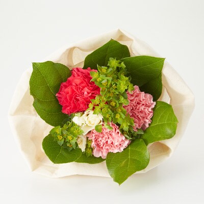 母の日の花 種類で選ぶ 通販 無印良品 母の日の花 種類で選ぶ 通販 無印良品