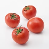 茨城県産　小菅農園のトマト  健ちゃんとまと ８玉