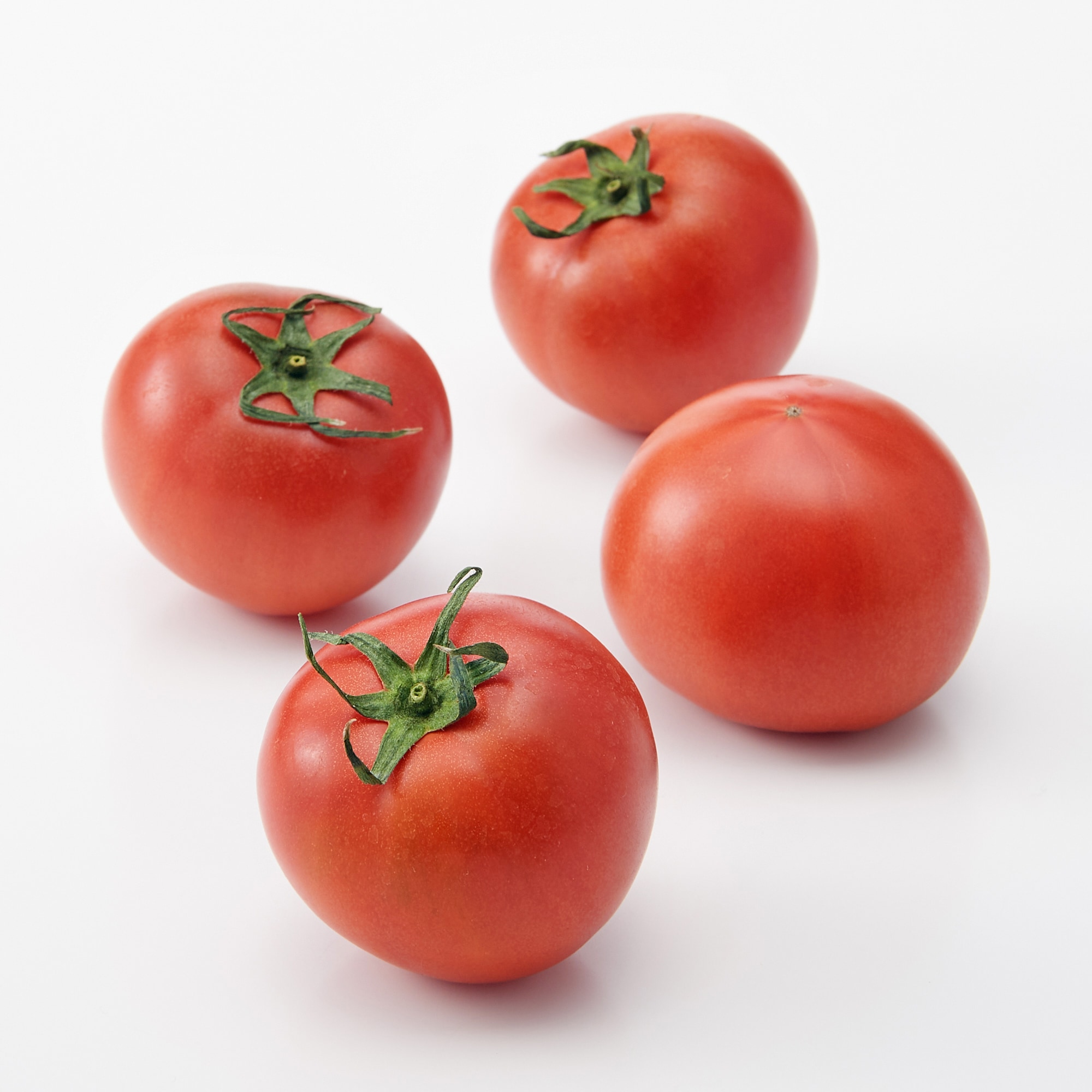 茨城県産　小菅農園のトマト  健ちゃんとまと ８玉