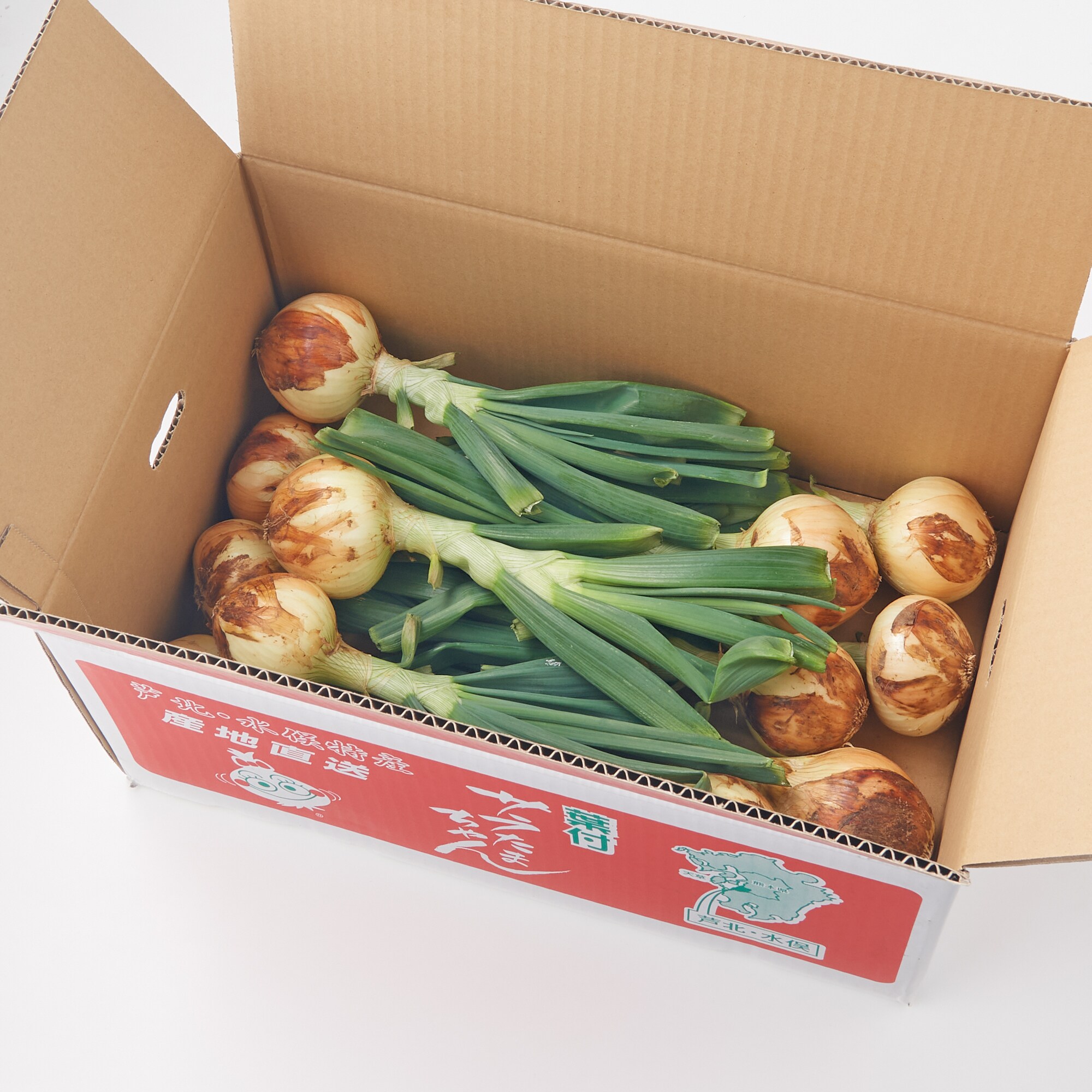 熊本県産　サラダたまねぎ「サラたまちゃん」　葉付き・12玉（3kg前後）