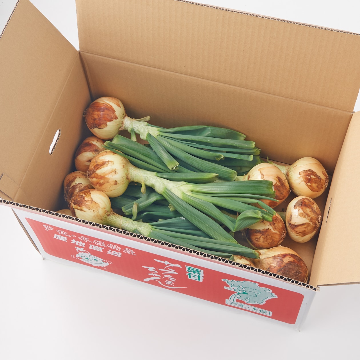 熊本県産　サラダたまねぎ　サラたまちゃん葉付き・約3kg