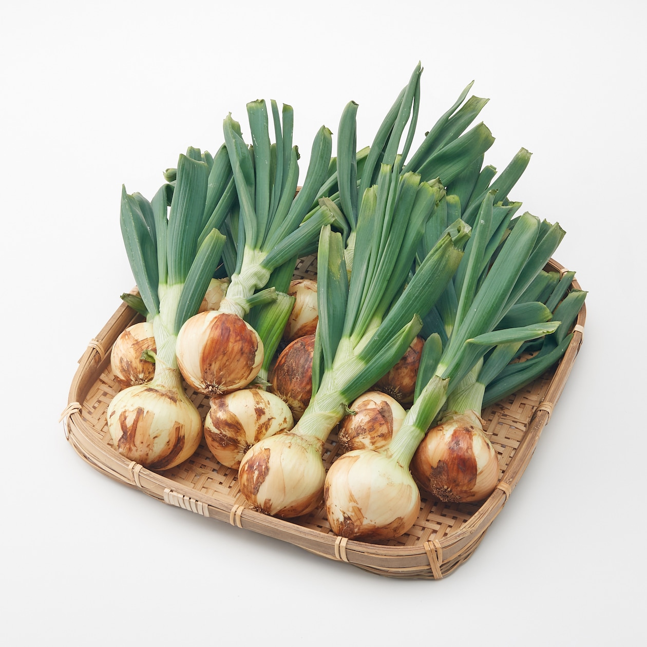 熊本県産　サラダたまねぎ　サラたまちゃん葉付き・約3kg