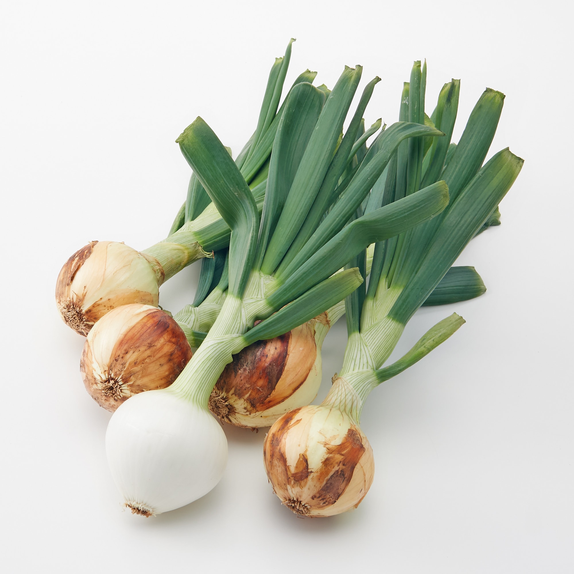 熊本県産　サラダたまねぎ「サラたまちゃん」　葉付き・12玉（3kg前後）