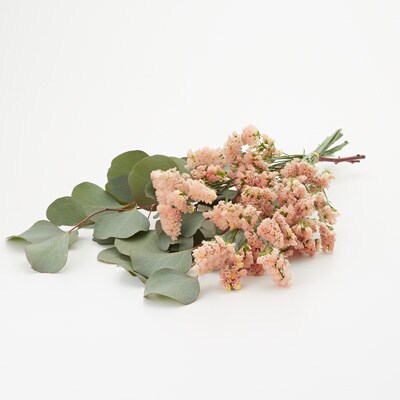花 通販 無印良品 花 通販 無印良品