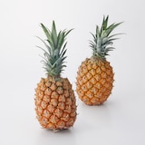 西表島産 西表島ひらい農園のパイナップル「スナックパイン」　 約１．５ｋｇ(２～３玉)