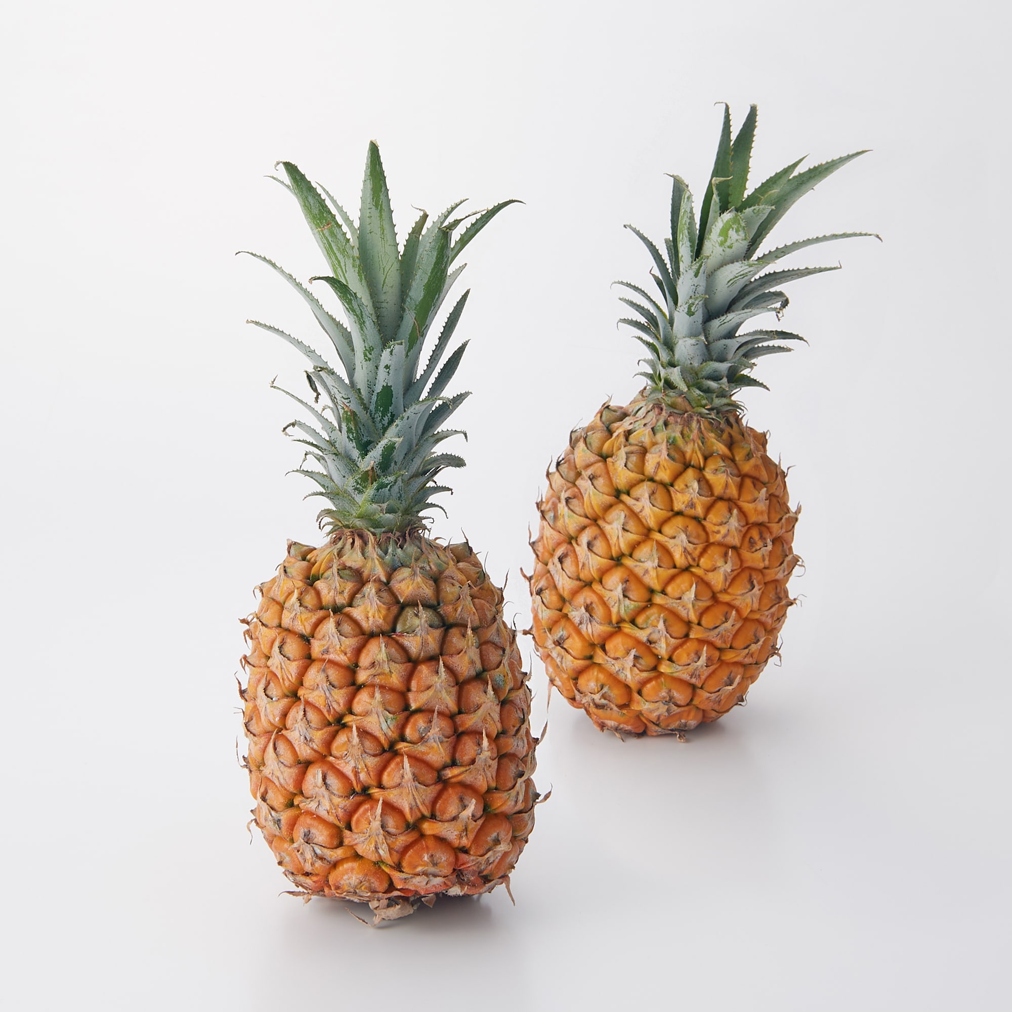 西表島産 西表島ひらい農園のパイナップル「スナックパイン」　 約１．５ｋｇ(２～３玉)