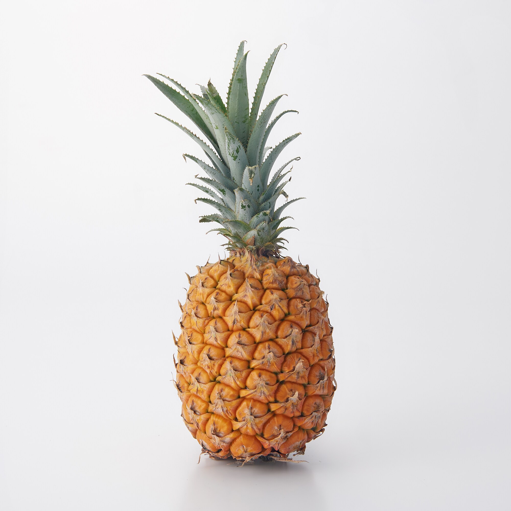 西表島産 西表島ひらい農園のパイナップル「スナックパイン」　 約１．５ｋｇ(２～３玉)