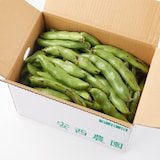 千葉県産　安西農園の「房州そら豆」　約４ｋｇ