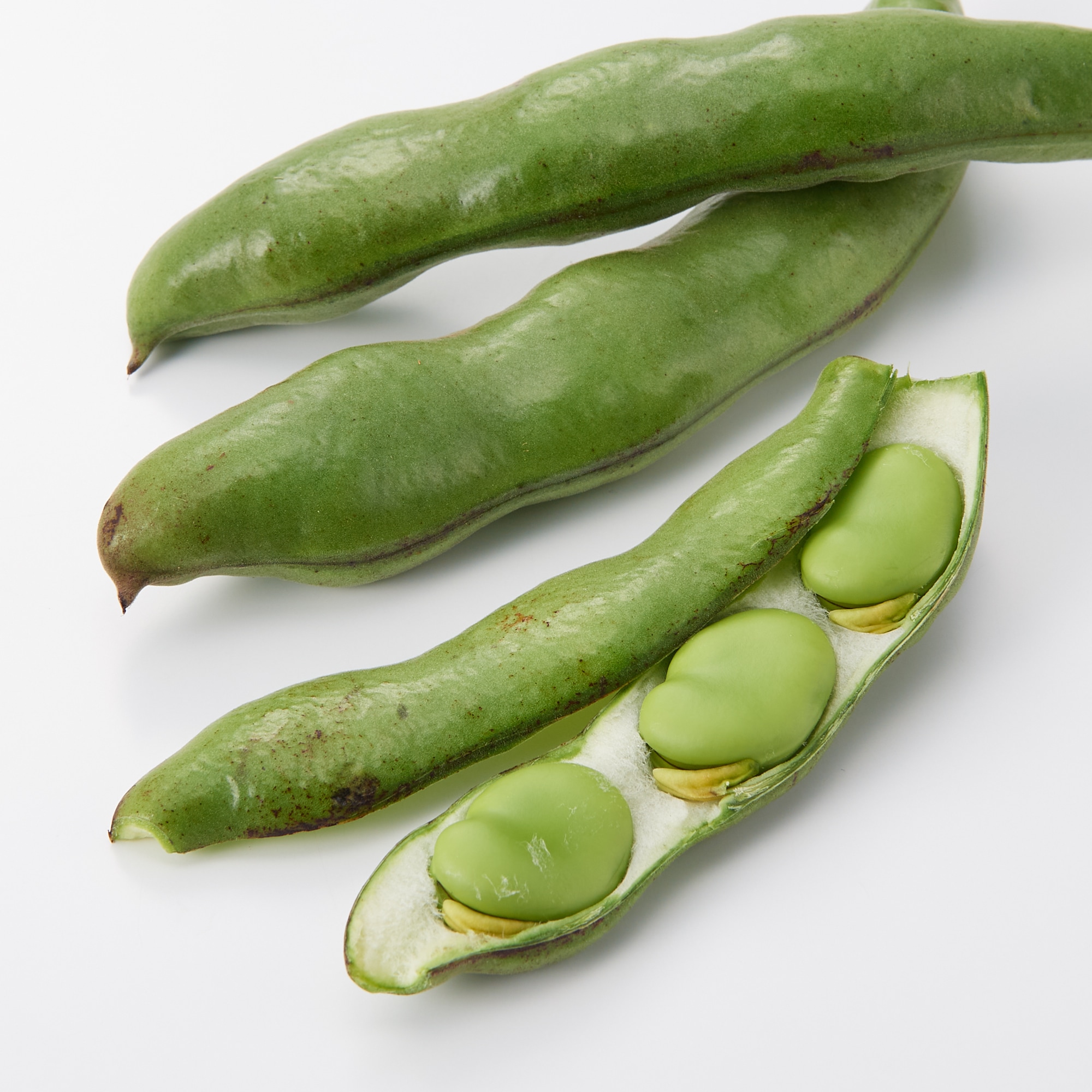 千葉県産　安西農園の「房州そら豆」　約４ｋｇ