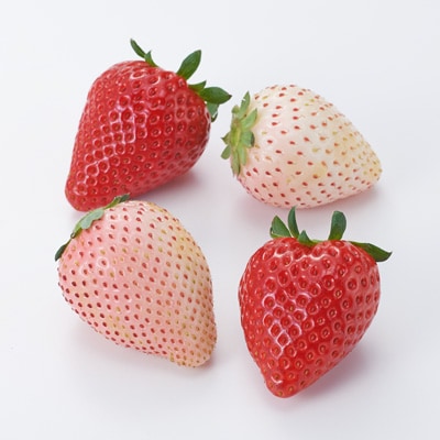 栃木県産　澳原いちご農園の「スカイベリーとミルキーベリー　2種セット」約600g