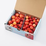 山梨県産　山の果樹園のさくらんぼ「紅秀峰＆お任せ品種」　約500g