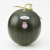 熊本県産　とみおか農園の小玉スイカ「ひとりじめBonBon」　約２ｋｇ