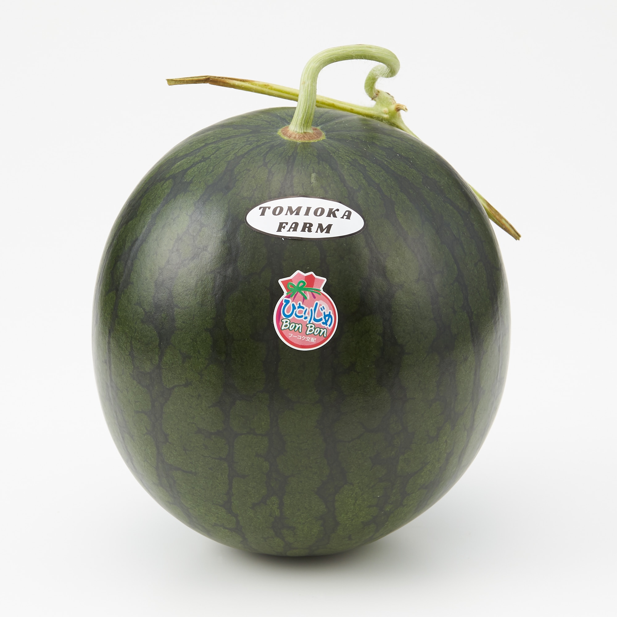 熊本県産　とみおか農園の小玉スイカ「ひとりじめBonBon」　約２ｋｇ