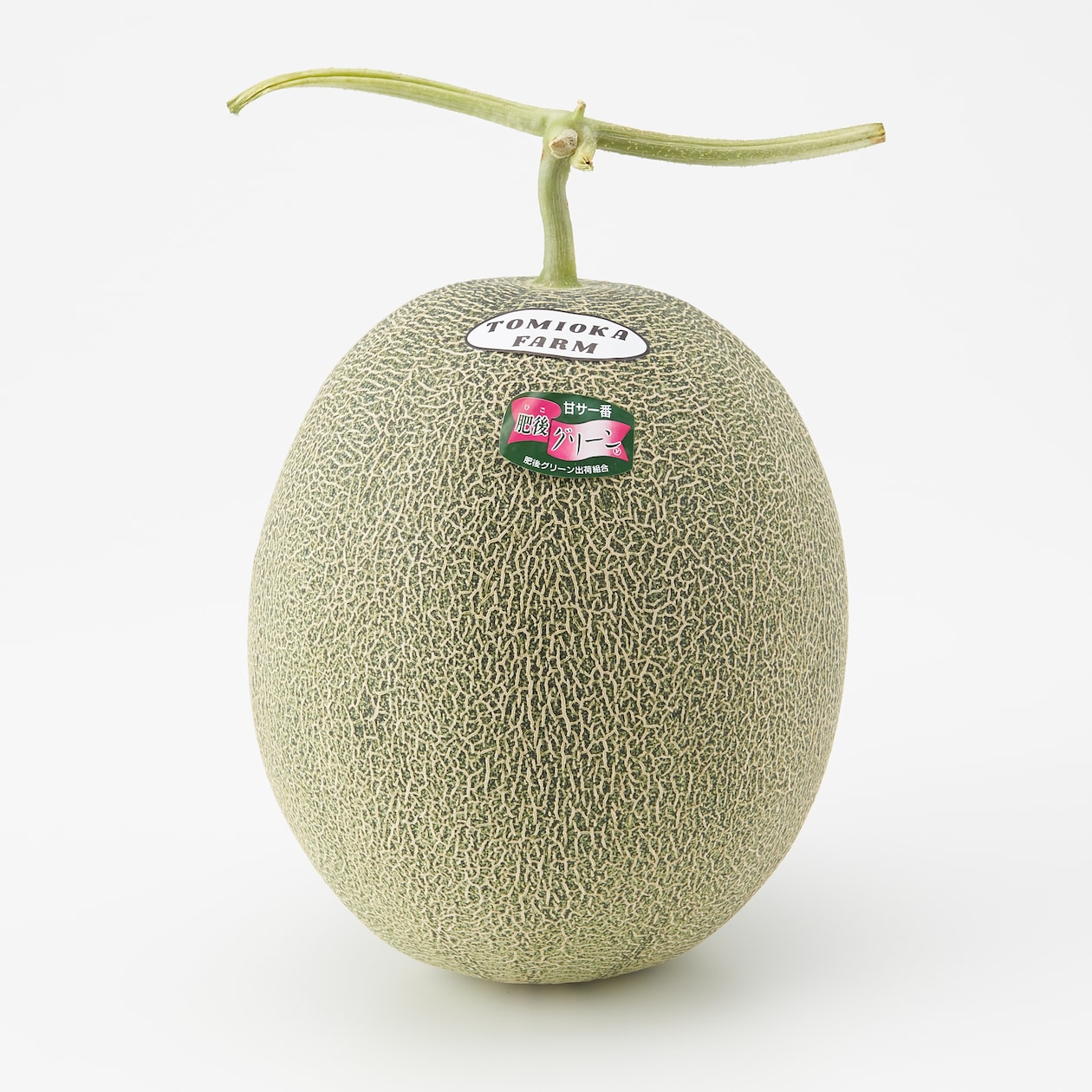 熊本県産　とみおか農園のメロン「肥後グリーン」１玉（約２.３ｋｇ）