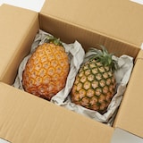 西表島産　西表島ひらい農園のパイナップル「鳳伯」約２ｋｇ（２～３玉）