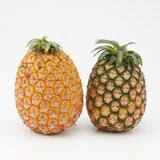 西表島産　西表島ひらい農園のパイナップル「鳳伯」約２ｋｇ（２～３玉）