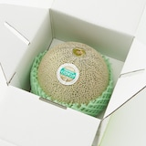 茨城県産　方波見農園のメロン「イバラキング」　約１．２ｋｇ