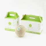 茨城県産　方波見農園のメロン「イバラキング」　約１．２ｋｇ