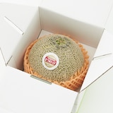 茨城県産　方波見農園の赤肉メロン「むつみレッド」　約１．２ｋｇ