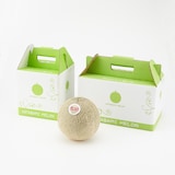 茨城県産　方波見農園の赤肉メロン「むつみレッド」　約１．２ｋｇ