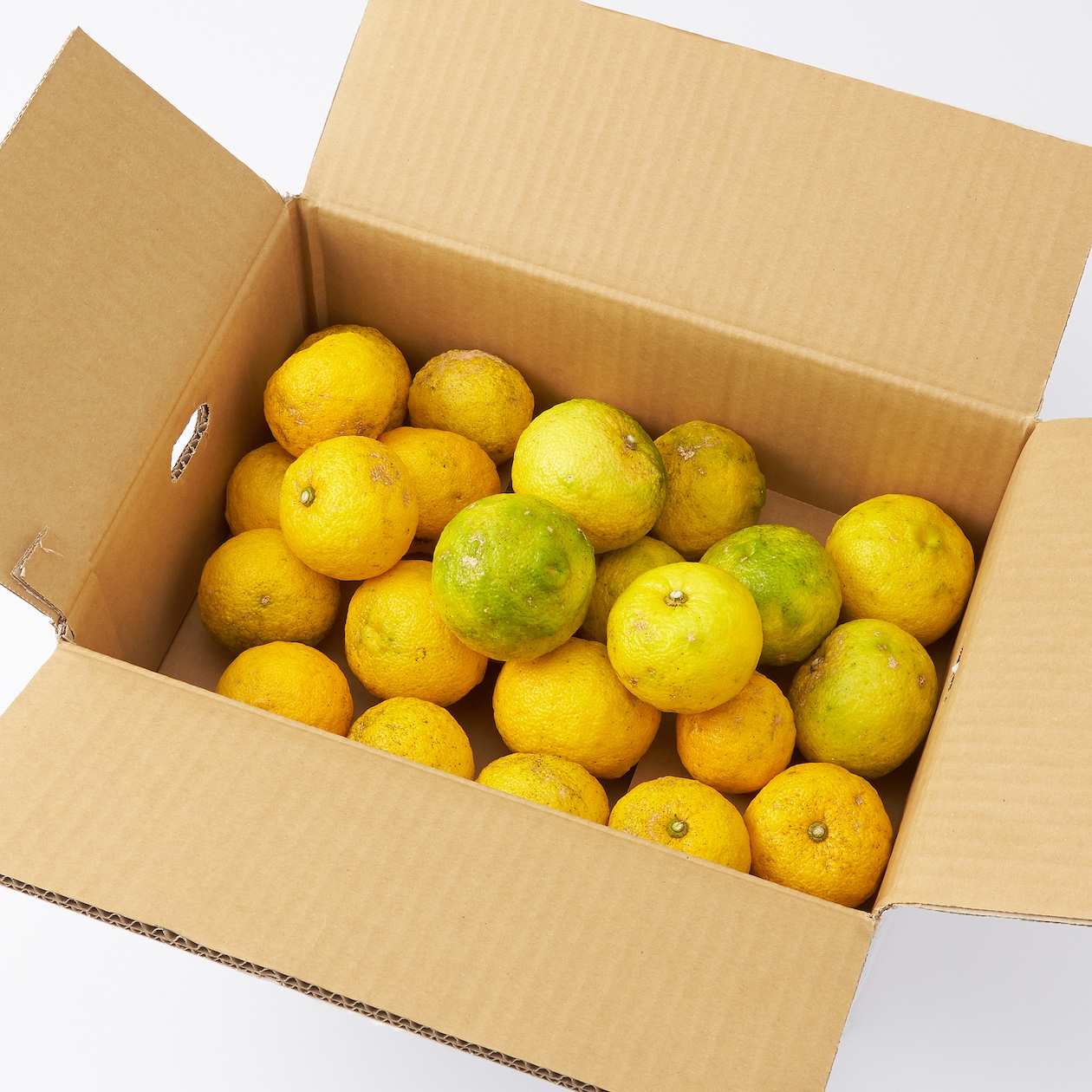 愛媛県産　無茶々園の「ゆず」約３ｋｇ