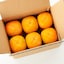 佐渡産　吹上農園の柿　約３ｋｇ