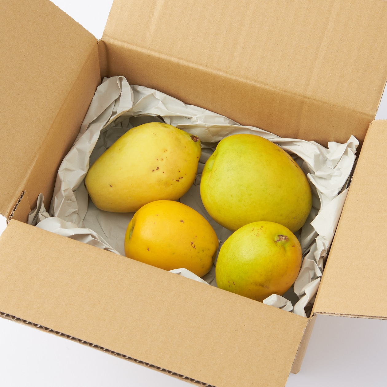 奈良県吉野産　堀内果実園の「かりん」不揃い・約１ｋｇ