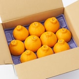 熊本県産　デコポン　約３ｋｇ