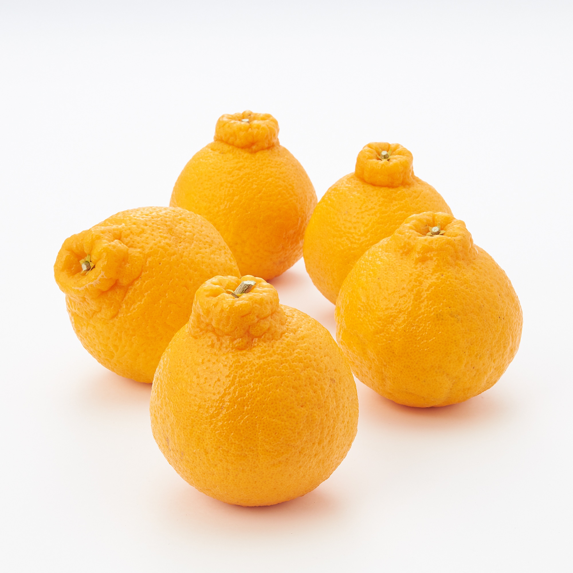 熊本県産　デコポン　約３ｋｇ