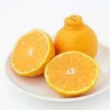 熊本県産　デコポン　約３ｋｇ