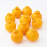 熊本県産　デコポン　約３ｋｇ