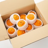 福岡県産　いわくま果樹園の「不知火」約４ｋｇ