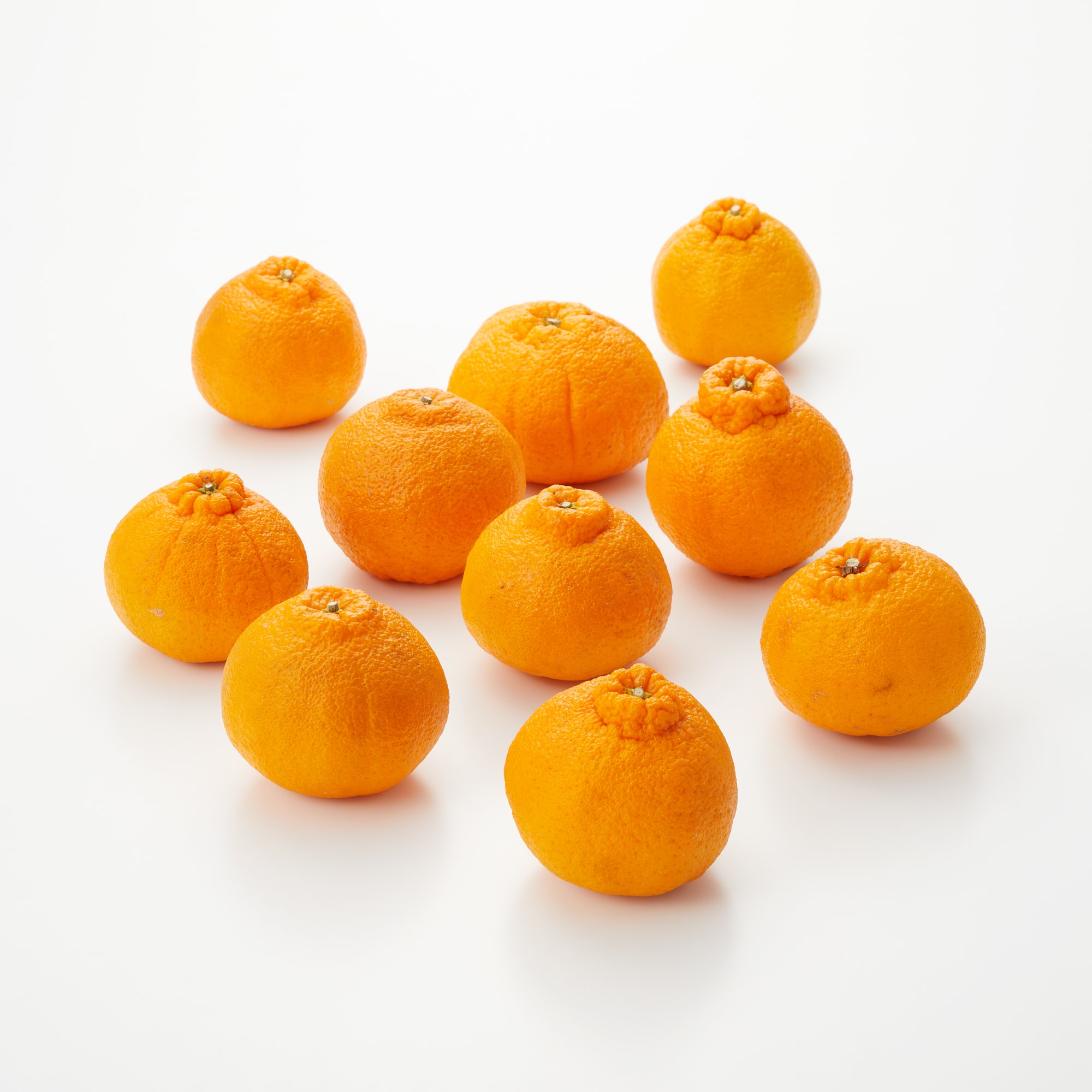 福岡県産　いわくま果樹園の「不知火」約４ｋｇ