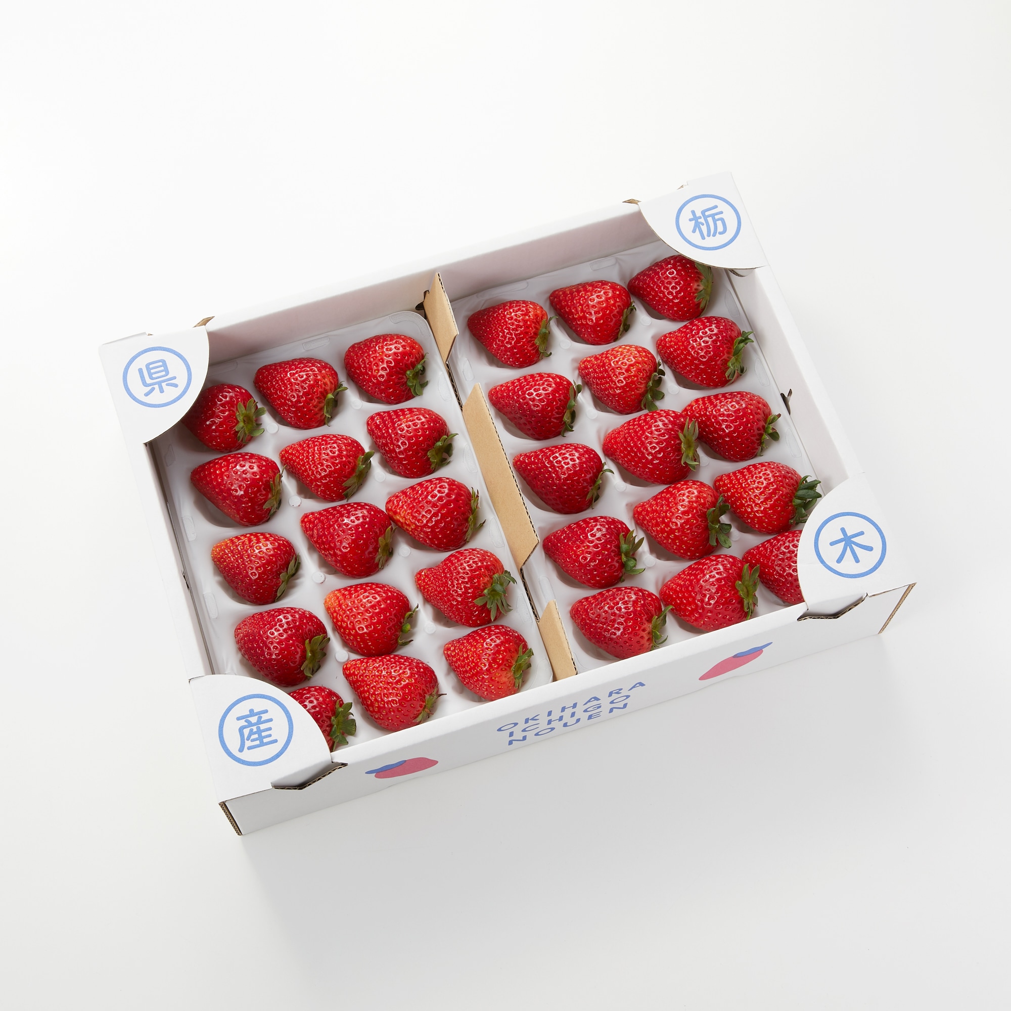 栃木県産　澳原いちご農園の「とちあいか」　約800g