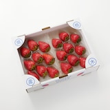 栃木県産　澳原いちご農園の「スカイベリーととちあいか　2種セット」約600g