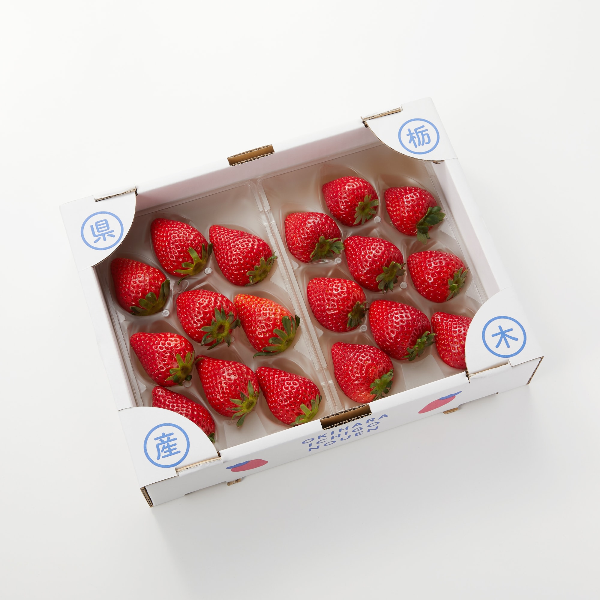 栃木県産　澳原いちご農園の「スカイベリーととちあいか　2種セット」約600g